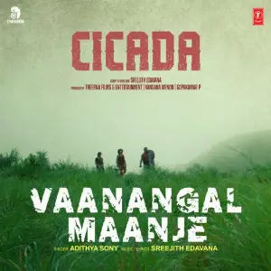Vaanangal Maanje (From Cicada) image
