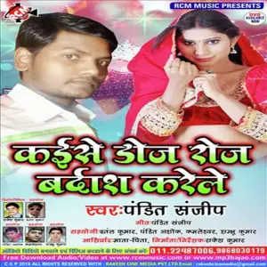 Kaise Doj Roj Bardast Krile image