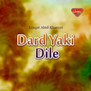 Dard Yaki Dile image