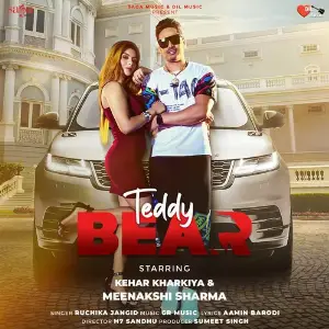 Teddy Bear Ruchika Jangid