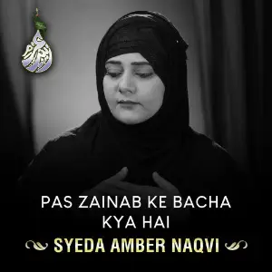 Pas Zainab Ke Bacha Kya Hai - Single image