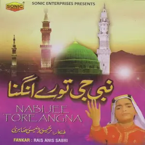 Nabi Jee Tore Angna image