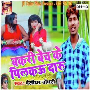 Bakri Becha Ke Pilakau Daru image