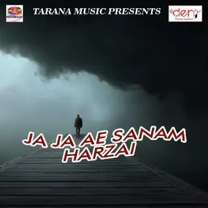 Ja Ja Ae Sanam Harzai image