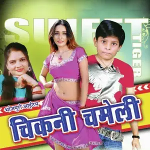 Chikni Chameli image