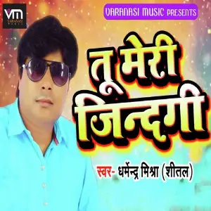 Tu Meri Zindagi image