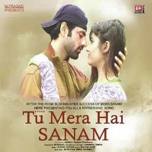 Tu Mera Hai Sanam 
