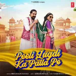 Peeli Lugdi Ka Palla Pe image
