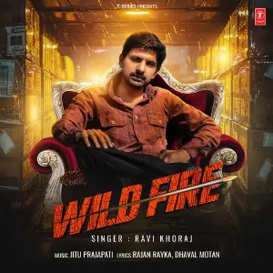 Wild Fire image
