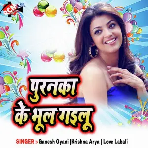 Puranka Ke Bhul Gaelu image