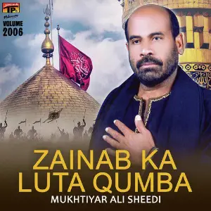 Zainab Ka Luta Qumba, Vol. 2006 image