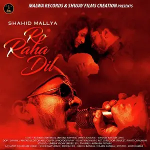 Ro Raha Dil image