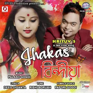 Jhakas Bindiya image