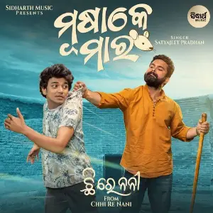 Musake Mar (From Chhi Re Nani) image