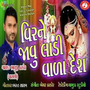 Veer Ne Javu Laadi Vada Desh image