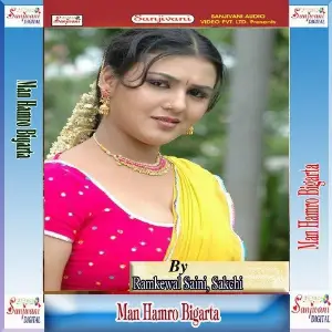 Man Hamro Bigarta image