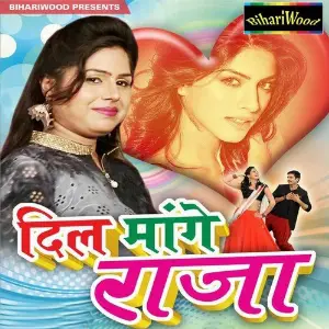 Dil Mange Raja Mittal