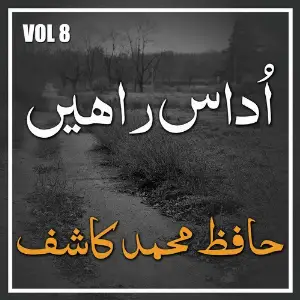 Hafiz Muhammad Kashif - Udas Rahey, Vol. 8 image