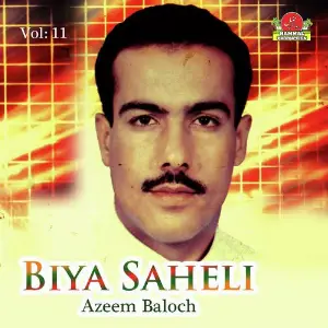 Biya Saheli, Vol. 11 image