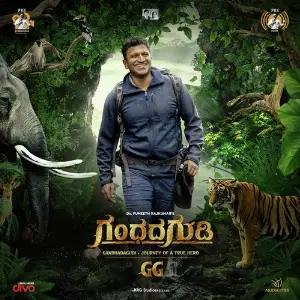 Gandhada Gudi image