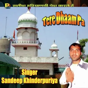 Tere Dhaam Pa image