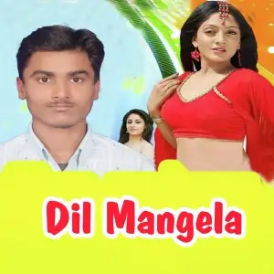Dil Mangela image