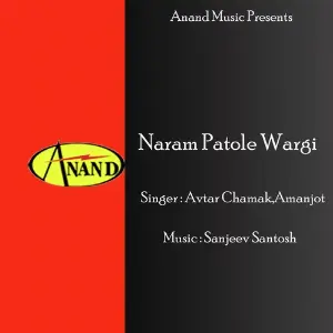 Naram Patole Wargi Avtar Chamak, Amanjot
