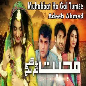 Mohabbat Ho Gai Tumse (From Mohabbat Ho Gai Tumse) image