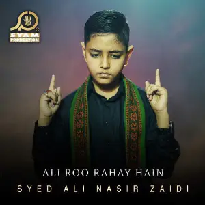 Ali Roo Rahay Hain - Single image