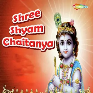 Shree Shyam Chaitanya image