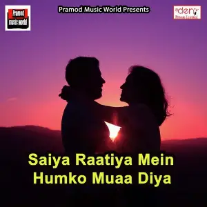 Saiya Raatiya Mein Humko Muaa Diya Various Artists