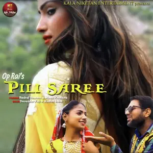 Pili Saree image