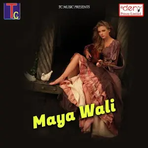 Maya Wali Various Artists