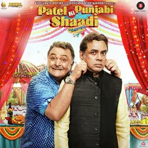 Patel Ki Punjabi Shaadi image