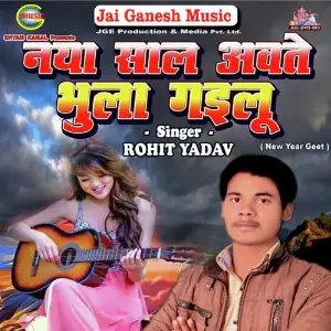 Naya Saal Awate Bhula Gailu image