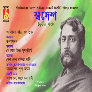 Swadesh, Vol. 3 image