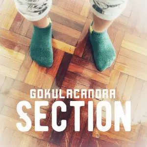 Section image