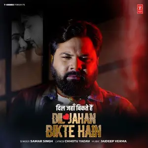 Dil Jahan Bikte Hain image