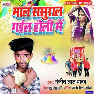 Maal Sasural Gail Holi Me image