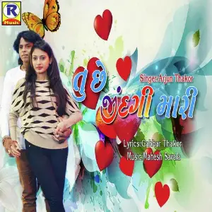 Tu Chhe Zindagi Mari image