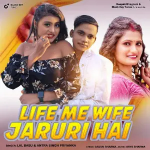 Life Me Wife Jaruri Hai image
