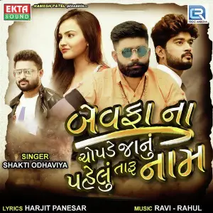 Bewafa Na Chopde Janu Pehlu Taru Naam image