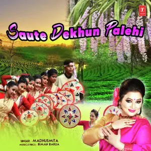 Saute Dekhun Palehi image