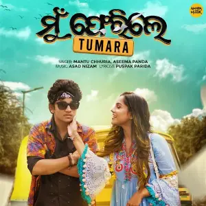 Mu Ferile Tumara image