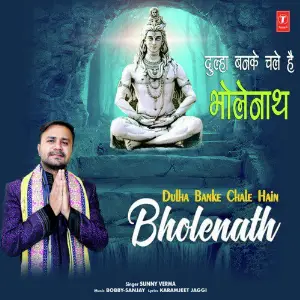 Dulha Banke Chale Hain Bholenath image