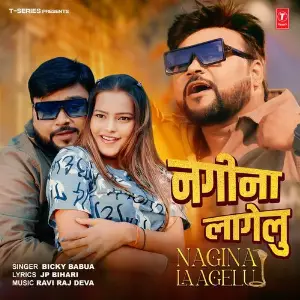 Nagina Laagelu image