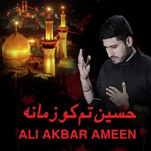 Hussain Tumko Zamana image