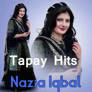 Tapay Hits image