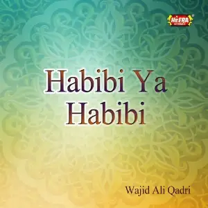 Habibi Ya Habibi image