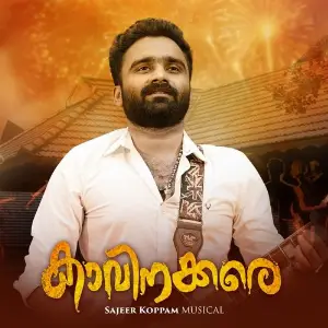 Kaavinakkare image